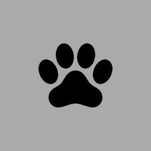 Пример карточки собачки с помощью