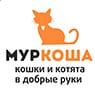 Логотип приюта Муркоша для бездмоных животных (кошки), Москва и Московская область | mospriut