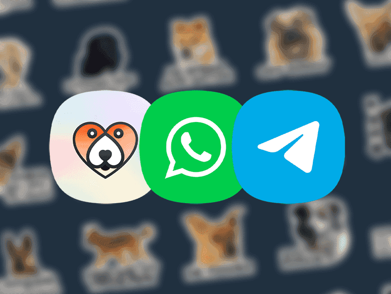 Как установить наши стикеры для WhatsApp и Telegram?