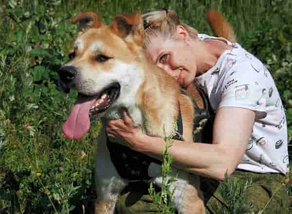 Что нужно для посещения приюта Щербинка?